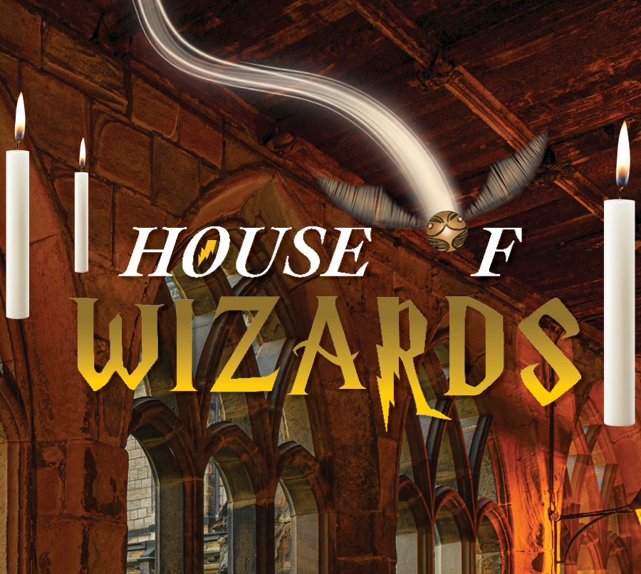 House of Wizards